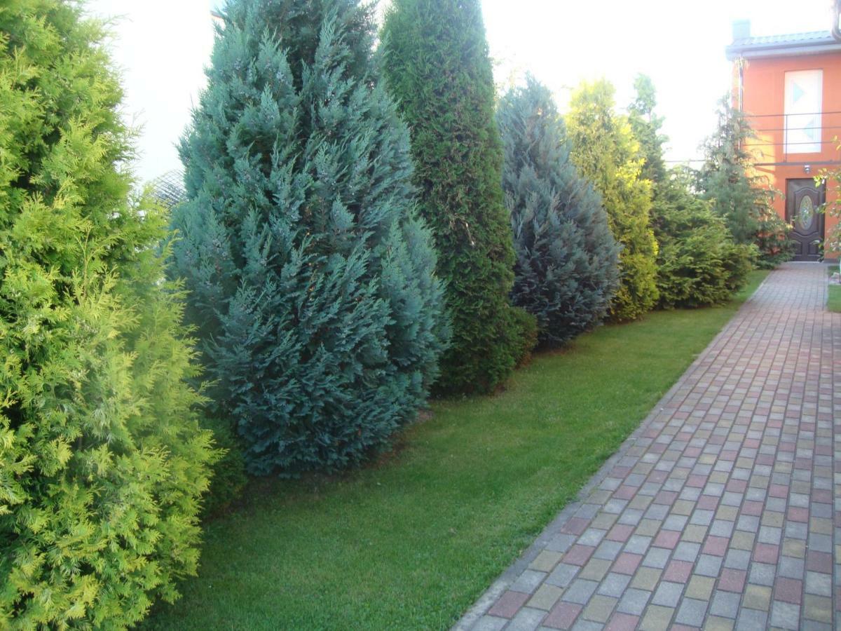 Zelta Pirts Guest House Ventspils Esterno foto